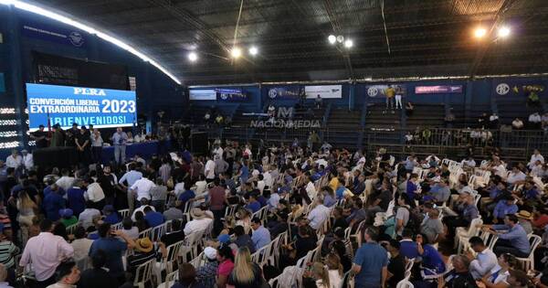 La Nación / “La Convención fue una decisión soberana”, aseveró Felino Amarilla