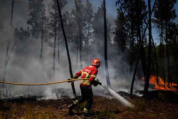 Portugal: incendio forestal arrasa con 7.000 hectáreas