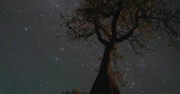 La Nación / Un samu’u gana “Mejor fotografía”