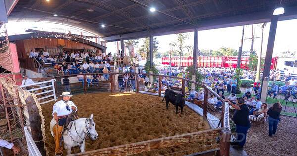 La Nación / El éxito coronó el remate anual de las ganaderas Sofía y Chajha