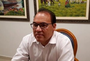 PLRA: remoción de Alegre fue “legal” y el TSJE “avaló” el proceso, afirma Fleitas  - Política - ABC Color