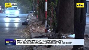 Montaña de basura y paseo destrozado: Avda. Rodríguez de Francia, abandonada por ‘’Nenecho’' - ABC Noticias - ABC Color