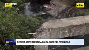 Video: Desidia ante baranda caída sobre el Mburicaó  - ABC Noticias - ABC Color