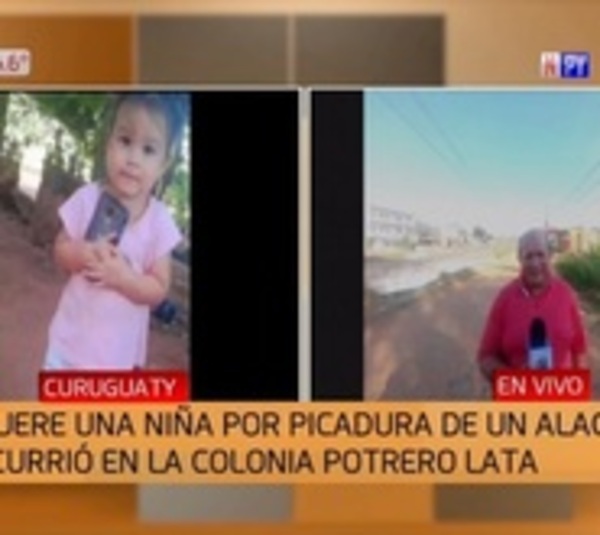 Beba fallece por picadura de alacrán en Curuguaty - Paraguay.com