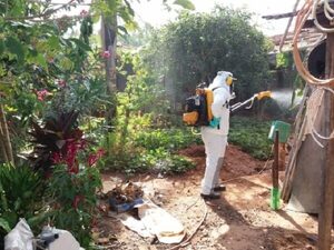 En la semana volvieron a disminuir los casos de arbovirosis