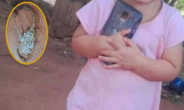 Niña de casi dos años falleció por picadura de alacrán en Curuguaty - OviedoPress