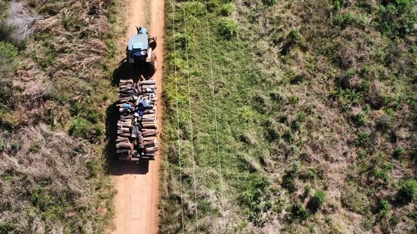 A plena luz del día sacan rollos de madera de la Reserva San Rafael - Nacionales - ABC Color