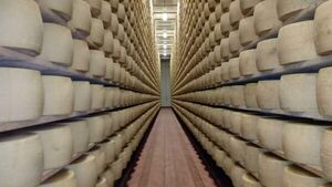 Diario HOY | Un hombre muere aplastado por toneladas de queso
