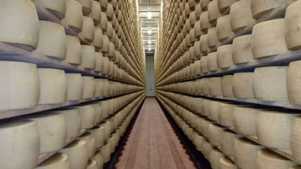 Diario HOY | Un hombre muere aplastado por toneladas de queso
