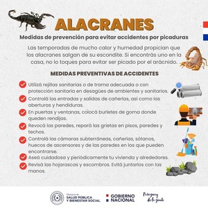 ALACRANES: CONOZCA LAS MEDIDAS DE PREVENCIÓN PARA EVITAR ACCIDENTES POR PICADURAS