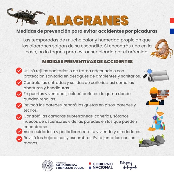 ALACRANES: CONOZCA LAS MEDIDAS DE PREVENCIÓN PARA EVITAR ACCIDENTES POR PICADURAS