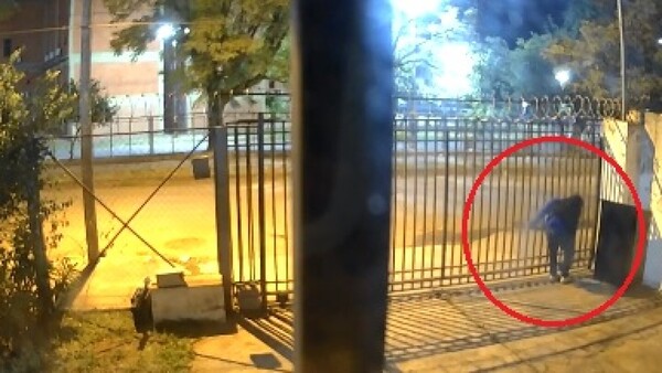 Pareja se fue de viaje y distintos ladrones vaciaron "por turno" su casa