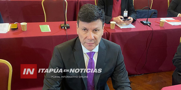 WALTER HARMS ES EL PRESIDENTE DE LA RENOVADA DELEGACIÓN PARAGUAYA DEL PARLASUR - Itapúa Noticias