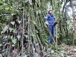 La Cámara de Energía de Ecuador ve nefasto el plebiscito sobre la operación petrolera del Yasuní - MarketData
