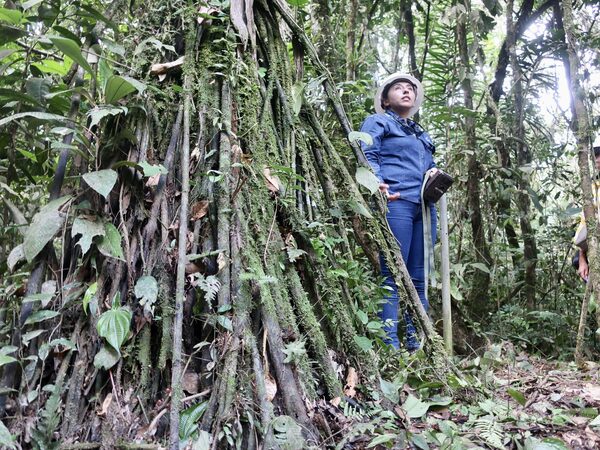 La Cámara de Energía de Ecuador ve nefasto el plebiscito sobre la operación petrolera del Yasuní - MarketData