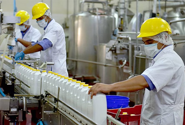 Exportaciones del sector lácteo aumentaron 37 % a julio