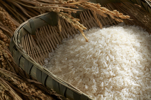 Exportaciones de arroz aumentaron 48,3 % en el primer semestre