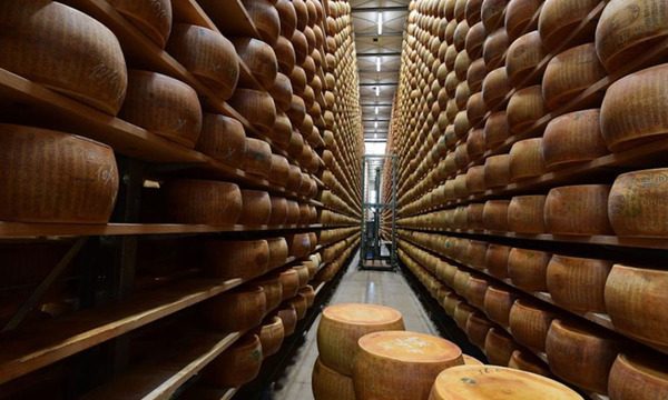 Muere un quesero italiano después de que 16.000 piezas de queso duro le cayeron encima - OviedoPress
