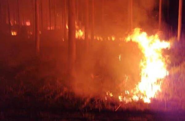 Se metió en medio de un incendio tratando de salvar su sustento pero terminó falleciendo