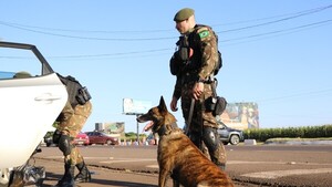 Operación militar movilizará a 2.000 soldados de 16 países en la frontera entre Paraguay y Brasil