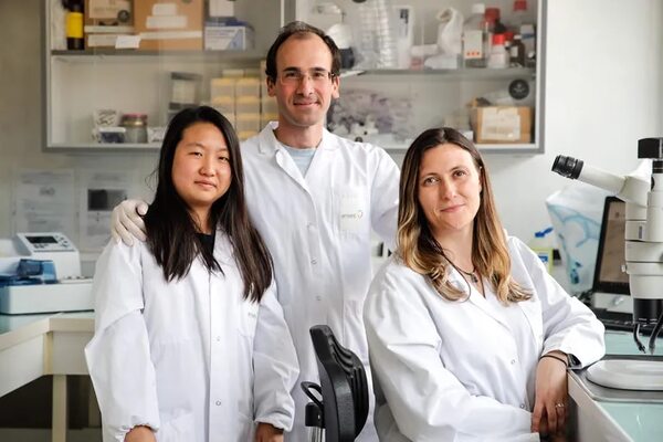 Científica paraguaya destaca en desarrollo de una vacuna revolucionaria contra la enfermedad de Lyme - Mundo - ABC Color