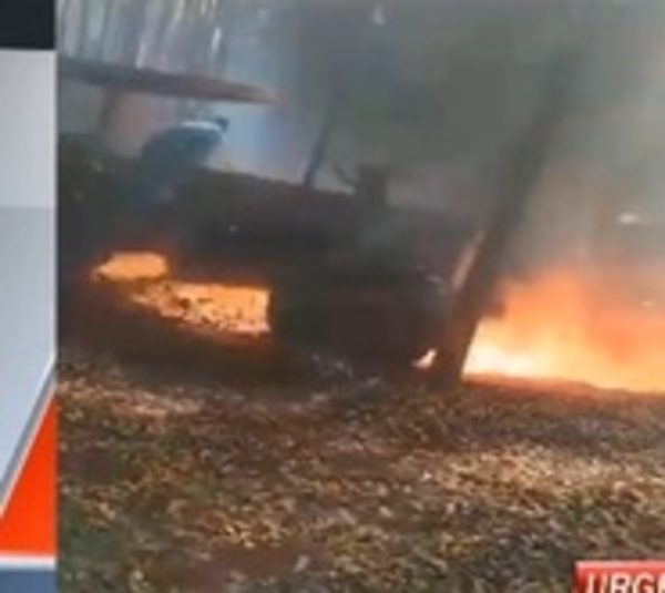 Brasiguayo muere al tratar de defender su eucaliptal de un incendio - Paraguay.com