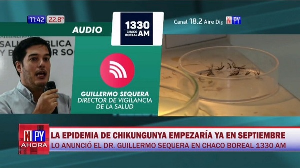 Epidemia de chikungunya podría adelantarse a septiembre, según Sequera - Noticias Paraguay