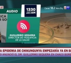 Temen que epidemia de chikungunya pueda adelantarse a septiembre - Paraguay.com
