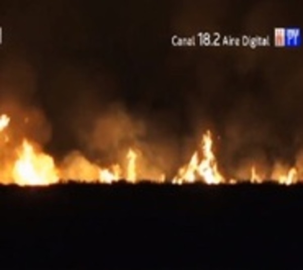 Incendio de gran magnitud en reserva de Ypacaraí - Paraguay.com