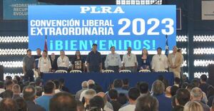 Efraín Alegre solicita la anulación de la Convención - ADN Digital