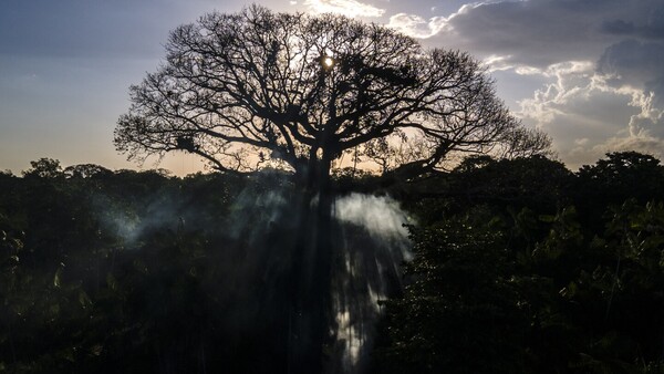 Cumbre en Brasil busca un ambicioso acuerdo para salvar la Amazonia