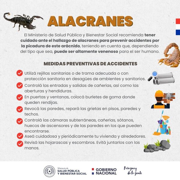 Brindan recomendaciones en caso de picadura de alacranes