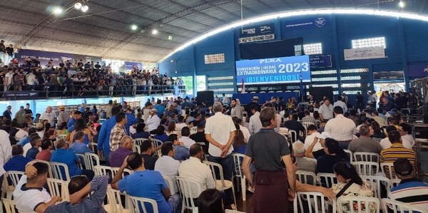 Efraín Alegre pide al TSJE que declare la nulidad de la convención liberal que le destituyó - La Tribuna