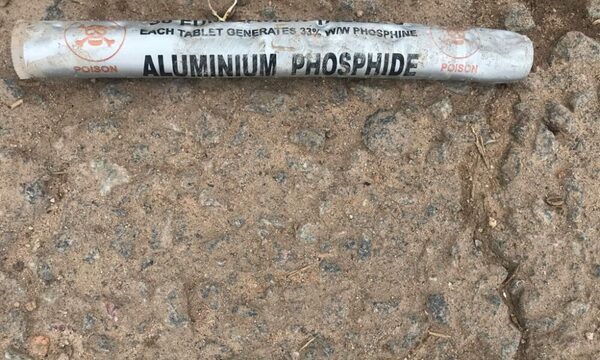 Hallan el envase con químico de “alta toxicidad” que se extravió en Uruguay