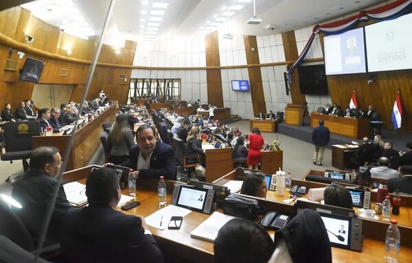 Nuevo intento de lograr préstamo para la ANDE tras “pelea” en Diputados - Política - ABC Color