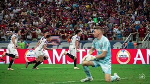 Libertad se despidió de la Copa Sudamericana - El Trueno