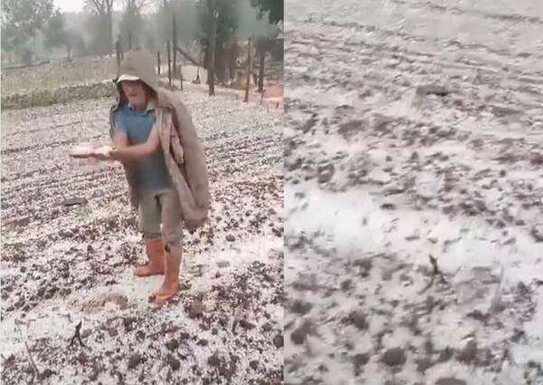 ¿Llega Papá Noel? Tremenda granizada en el sur del país deja los campos teñidos de blanco