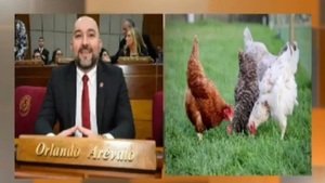 Presidente del JEM se hizo millonario vendiendo huevos de 10 gallinas, según su DDJJ - Noticias Paraguay