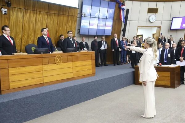 Esposa de Alliana jura como diputada tras renuncia de Luis Benítez  - Política - ABC Color