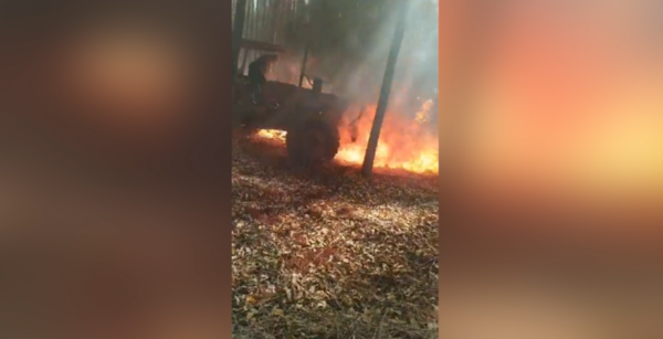 HOMBRE MUERE TRAS INTENTAR DEFENDER SU EUCALIPTAL DE UN INCENDIO - La Voz del Norte