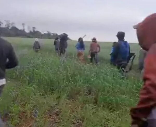 Itakyry: trabajador de estancia resulta herido de refilón al intervenir en invasión - ABC en el Este - ABC Color