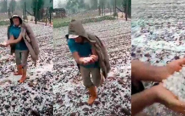 Fuerte granizada afectó cultivos en Itapúa – Prensa 5