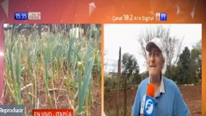 Fuerte granizada afectó a pequeños productores de Hohenau - Noticias Paraguay