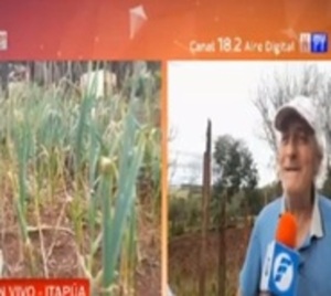 Fuerte granizada afectó a pequeños productores de Hohenau  - Paraguay.com
