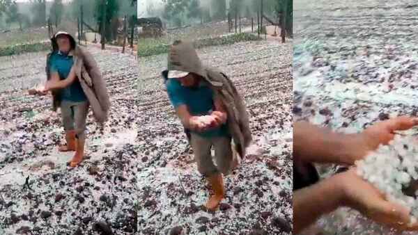 Fuerte granizada afectó cultivos en el Sur del país