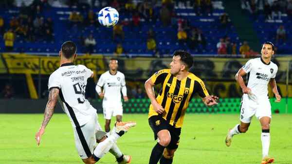 Guaraní no tuvo fortuna ante Botafogo y dice adiós a la Copa