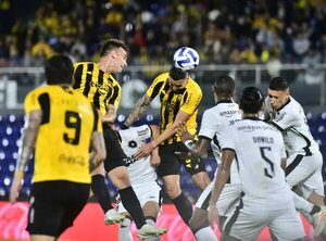Guaraní vs. Botafogo: Sin paraguayos en la Sudamericana - Fútbol - ABC Color