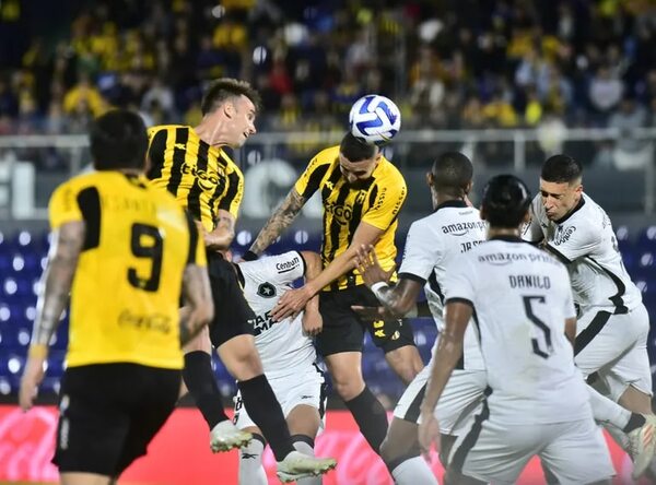 Guaraní vs. Botafogo: Sin paraguayos en la Sudamericana - Fútbol - ABC Color