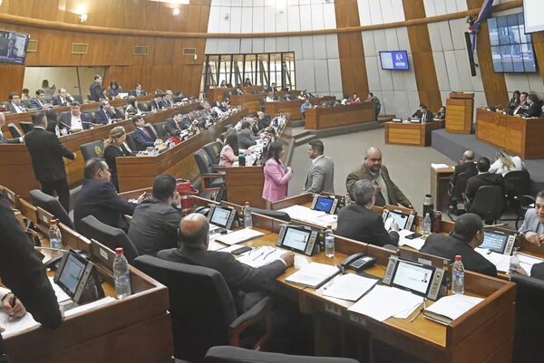 Diputados ratifican derogación de la donación y UE advierte una ruptura - Política - ABC Color