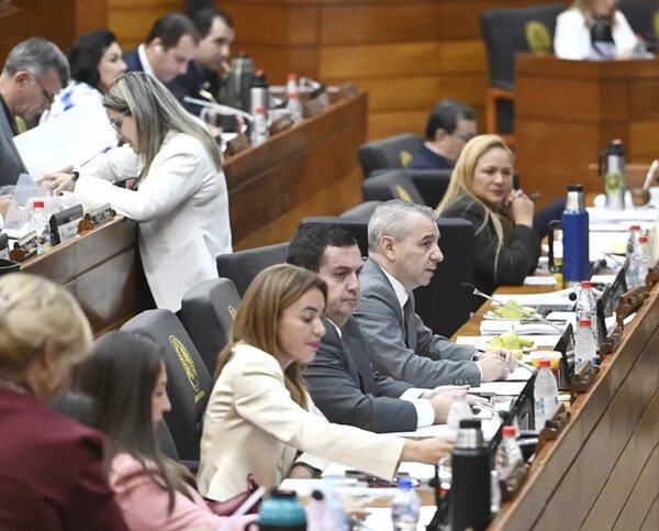 Diputados sancionan crédito de US$ 120 millones para la ANDE - Política - ABC Color